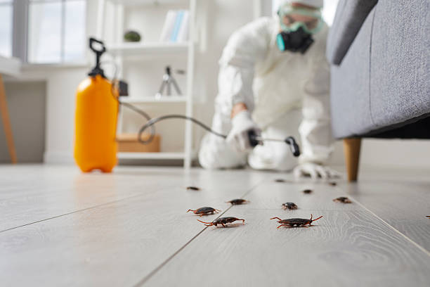 Trusted Emergency Pest Control service in Rutgers University-Livingston Campus, NJ - Nex Pest Control
